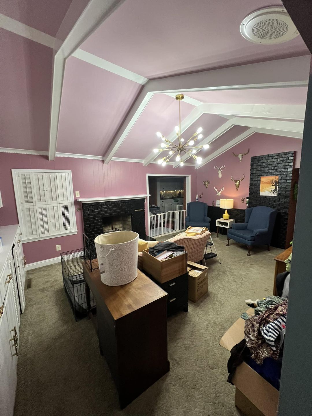 Victoria painters feature wall pink